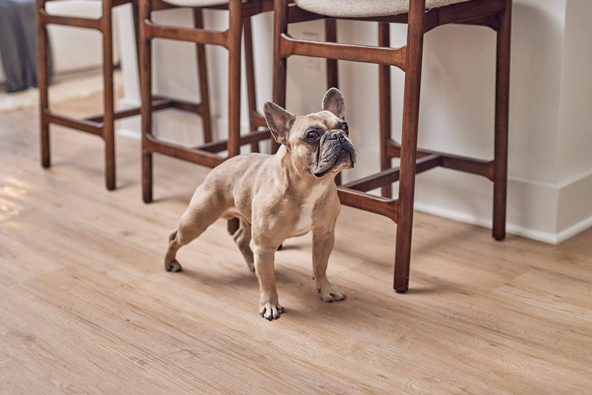 evado_property_lifestyle_163_websize